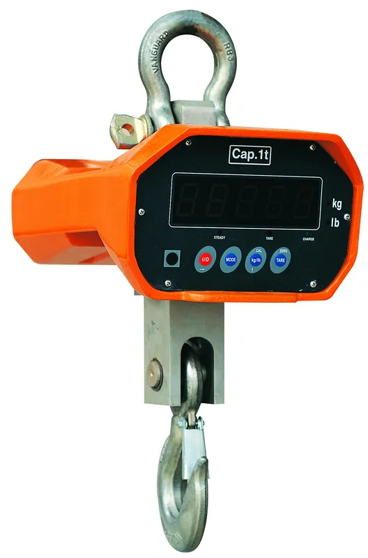 High quality Electric Crane Scale - XZ Series