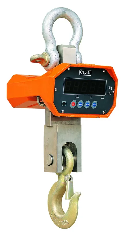 High quality Electric Crane Scale - XZ Series