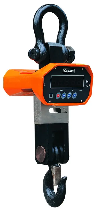 High quality Electric Crane Scale - XZ Series